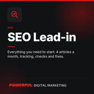 SEO Lead-in – Powerful Digital Marketing