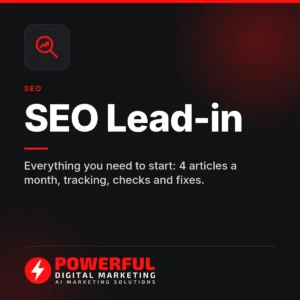 SEO Lead-in – Powerful Digital Marketing